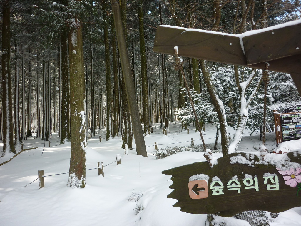 나비가요세상 이미지