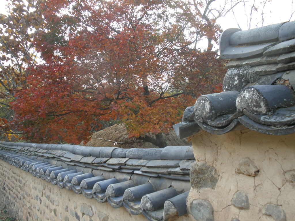 돌담 이미지