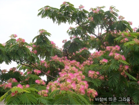 (주)열린마음 이미지
