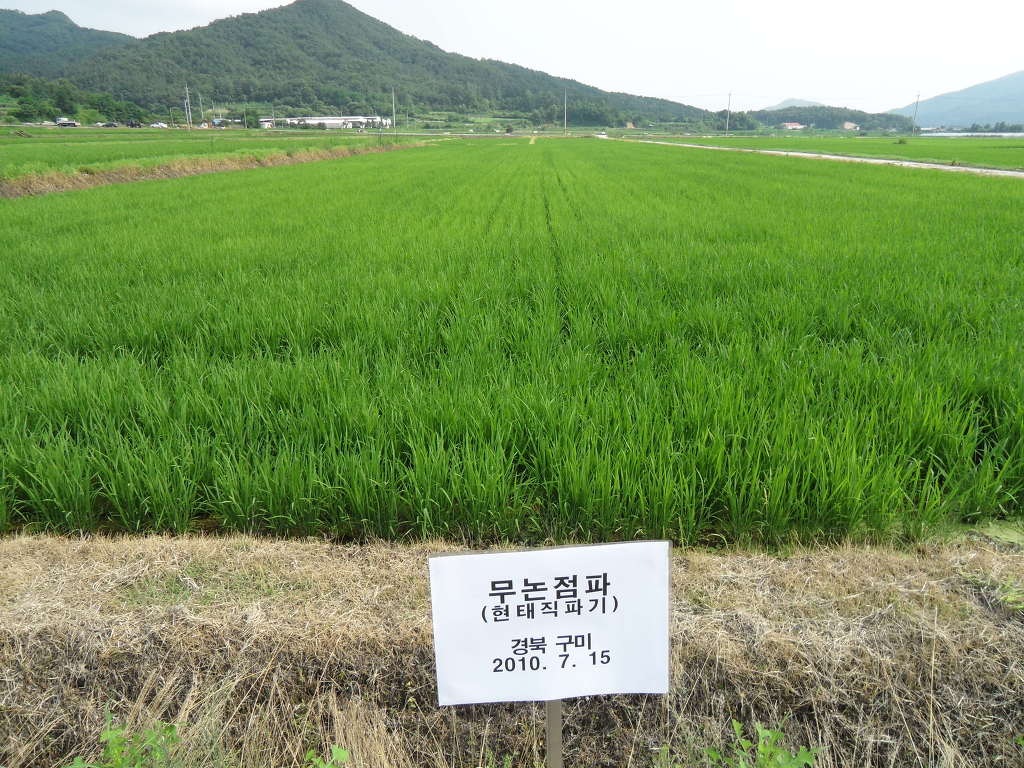 황금직파기 이미지
