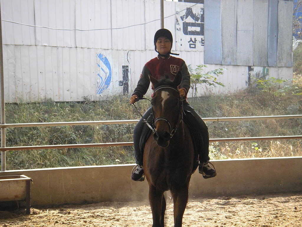 애은 이미지