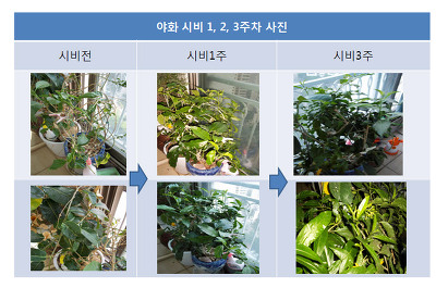 (주)비에스 이미지