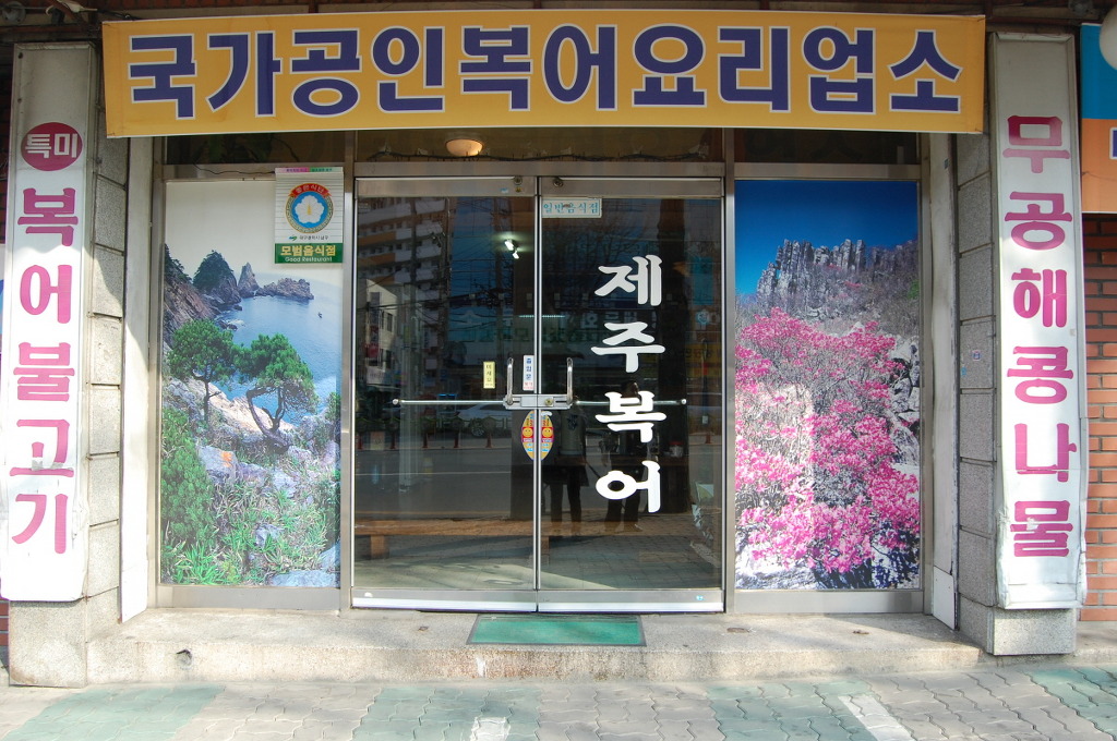 제주복어 이미지