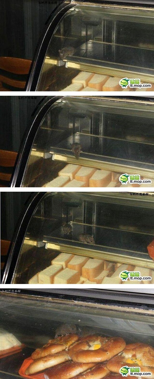 대학식당 이미지