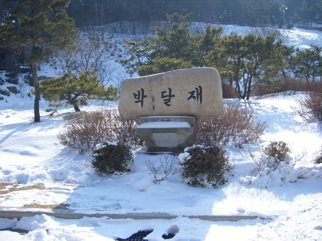 진소 이미지