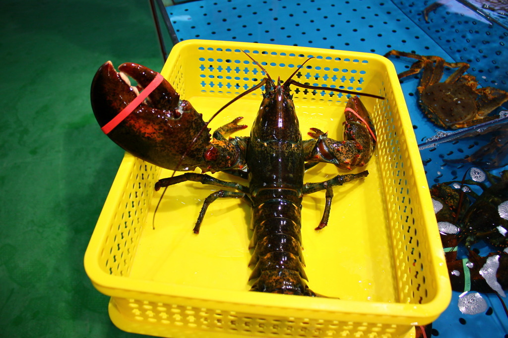 백일수산 이미지
