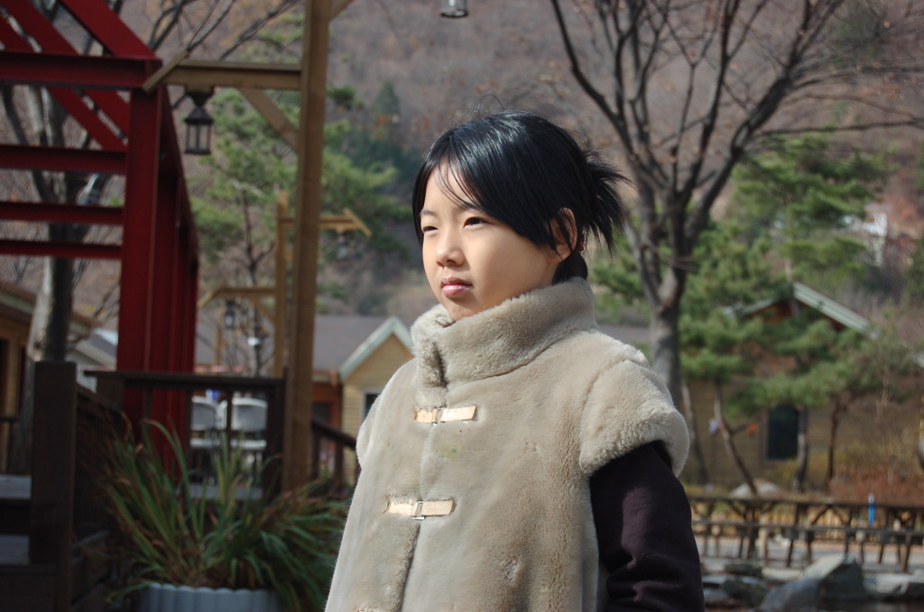 댄디투어 이미지