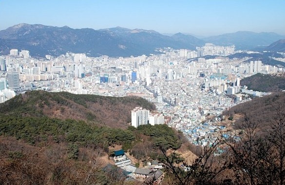 연산1942 이미지