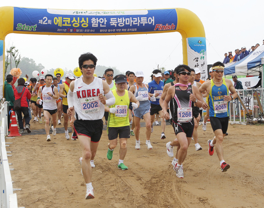 싱싱투어 이미지
