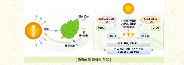 크린하우스 이미지