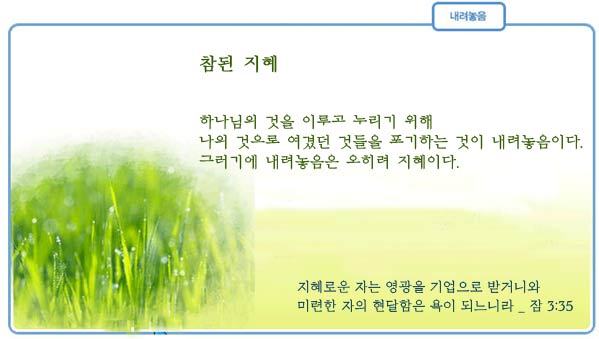 일일참 이미지