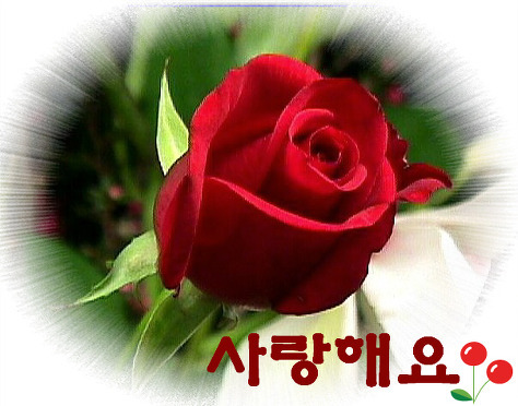 허*한 이미지