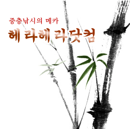 다솔 이미지