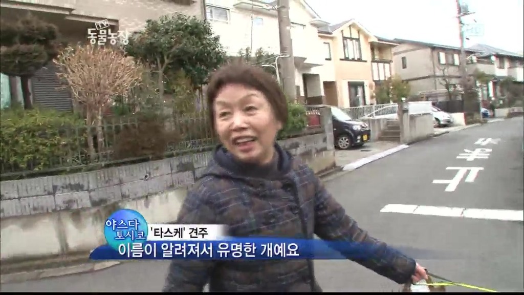 [동물농장] 목줄로 질질 끌려다니는 개.JPG | 인스티즈