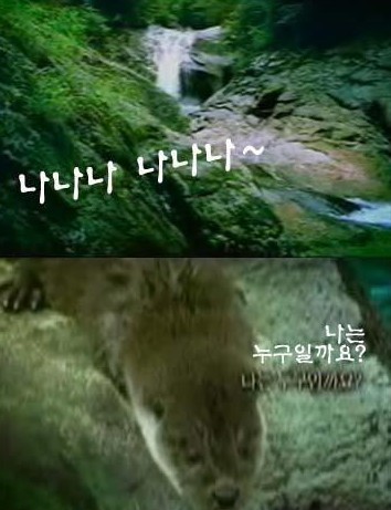 칠성광고 이미지