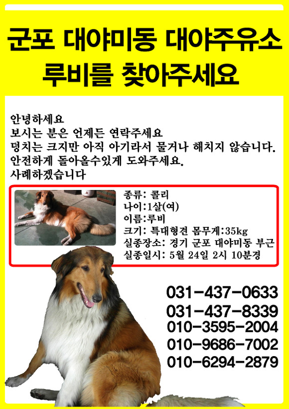 대야주유소 이미지