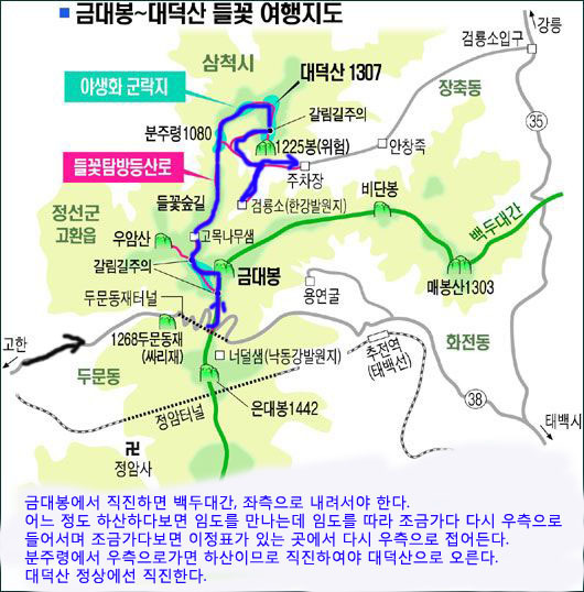 초원하이마트 이미지