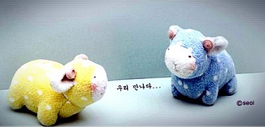 보찾사 이미지