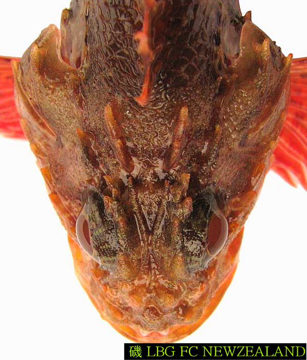 186A1E3C4D4E8A5319074E