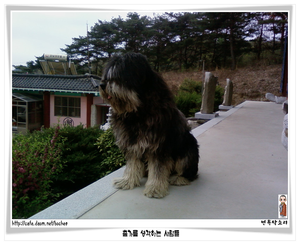안녕하세요 이미지