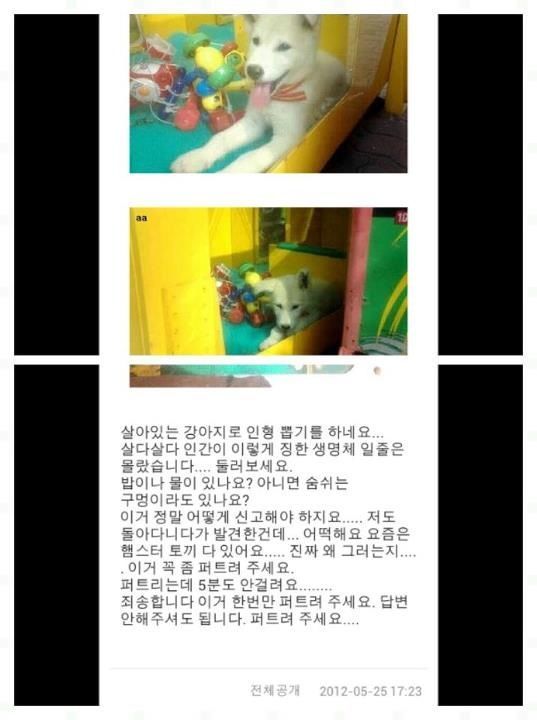 인형뽑기세상 이미지