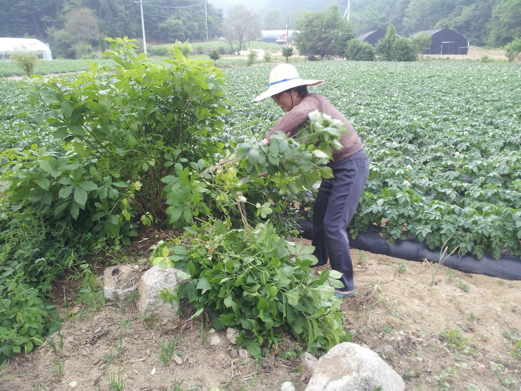 둔내농장 이미지