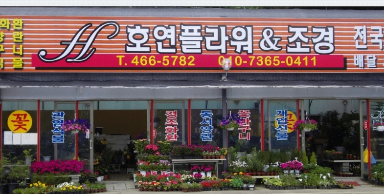 호연플라워 이미지
