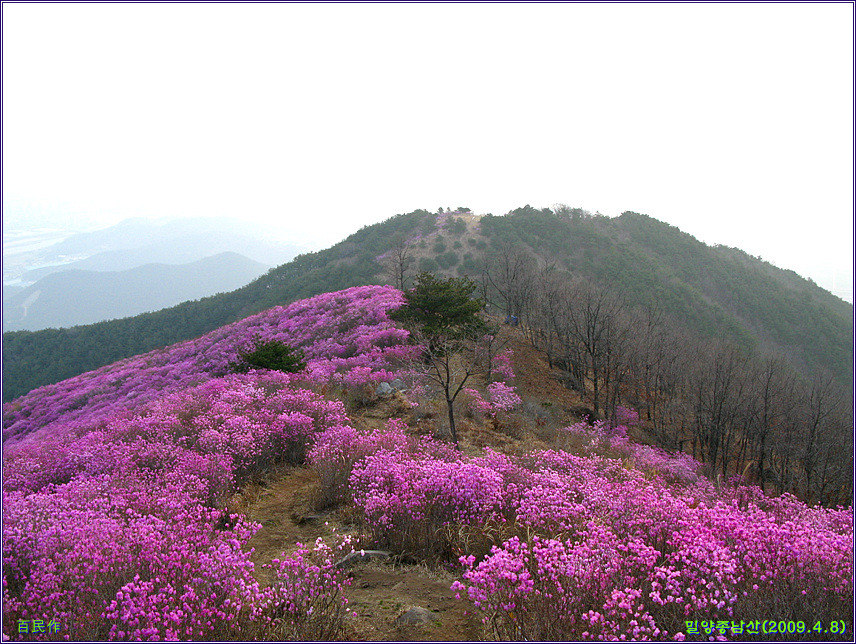 한 우리 이미지