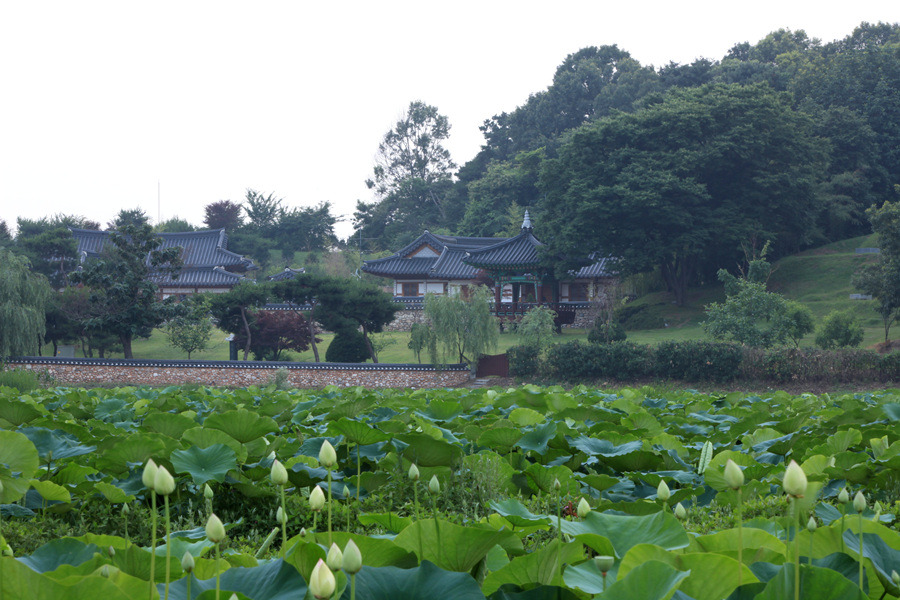 한물결의원 이미지