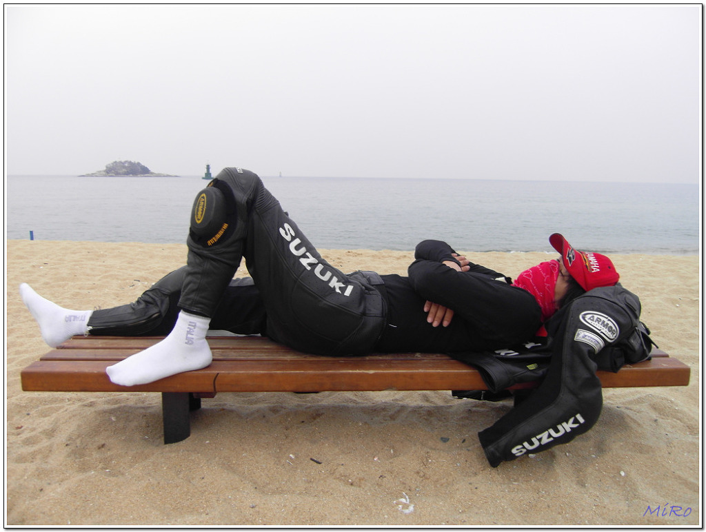 얄리 이미지