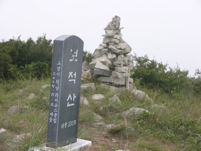 푸른시티 이미지