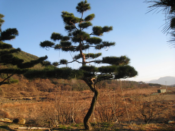 지리산농장 이미지