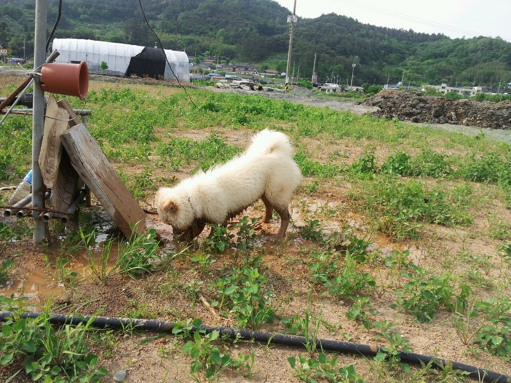 구안 이미지