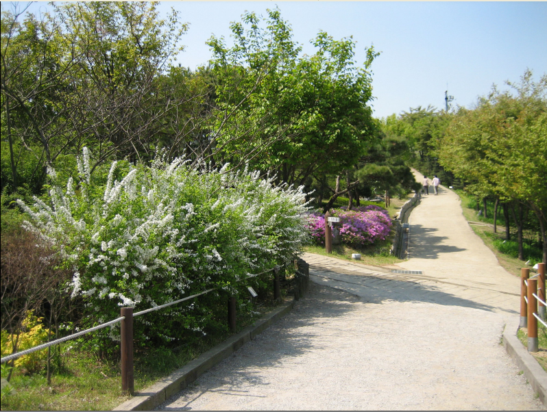 숲속 이미지