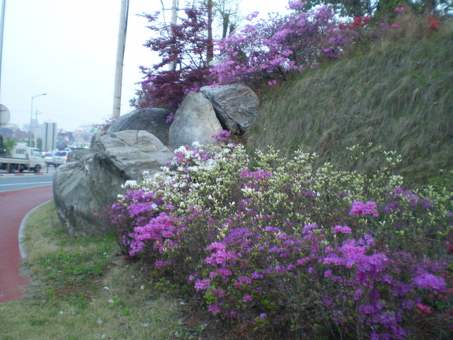 진성조경 이미지