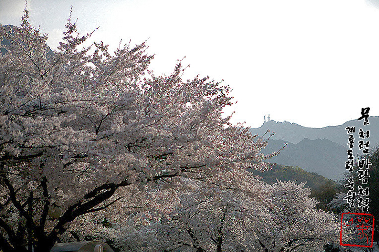계룡산 경관 이미지