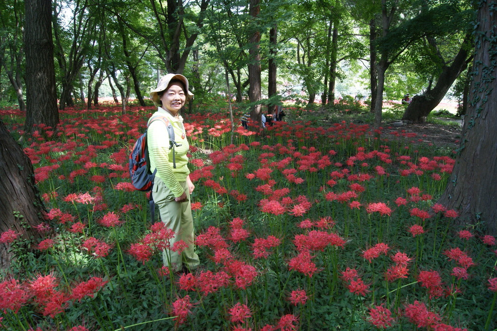 아름여행사 이미지