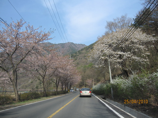 (주) 정대 이미지