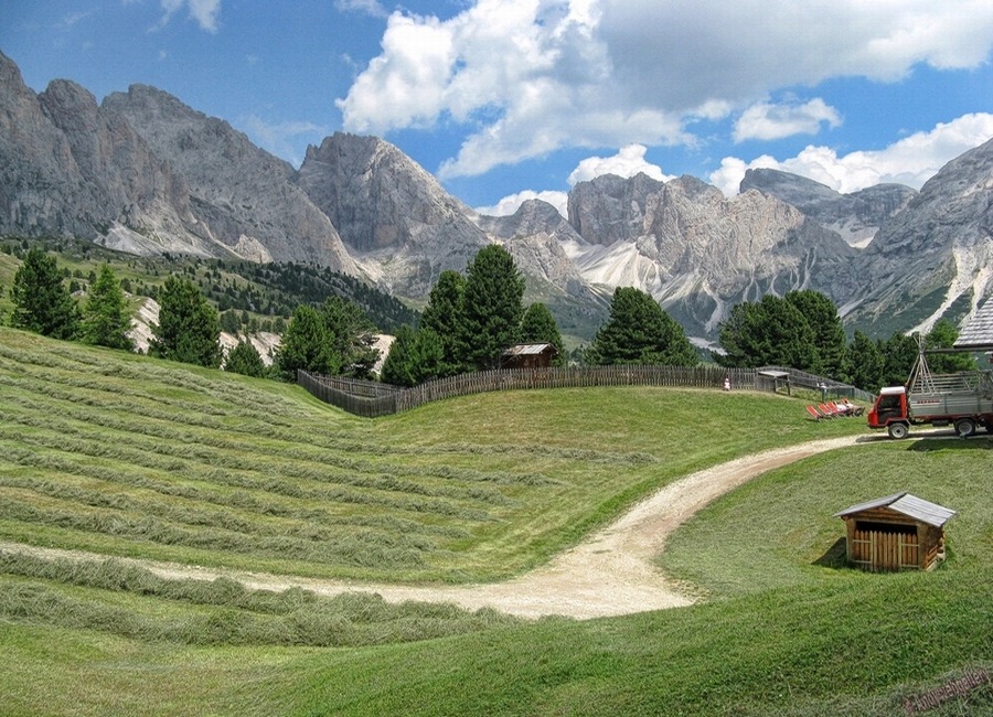 195BD7384EFC3AE8043F29