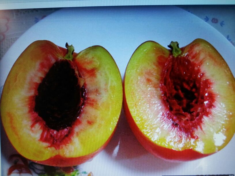 복숭아아저씨 이미지