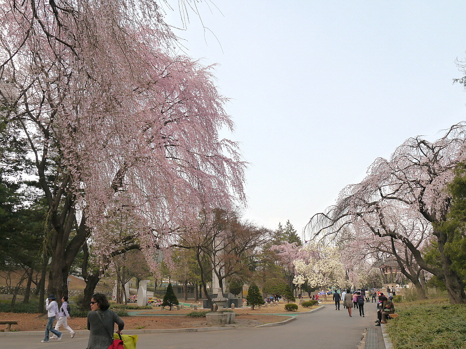 설울 이미지