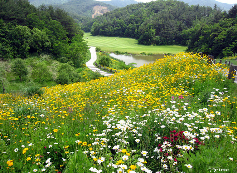 가야산메아리 이미지