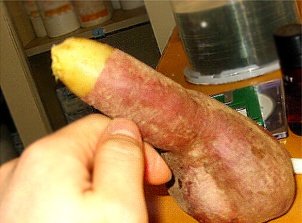 예사랑 이미지