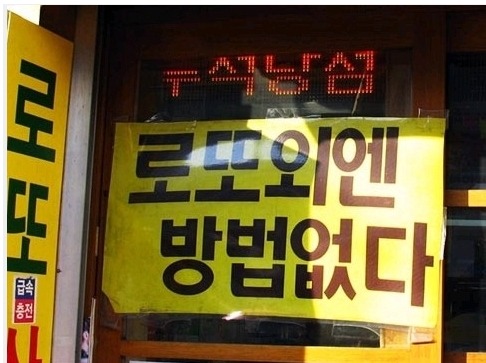참와이 이미지