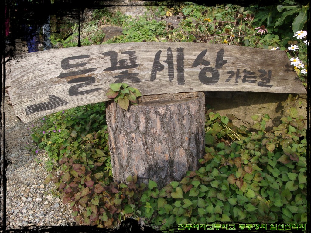황토와 들꽃세상 이미지