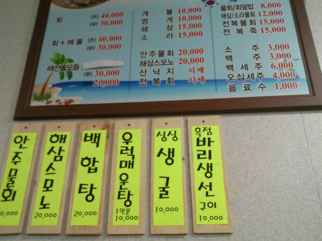 바닿 이미지