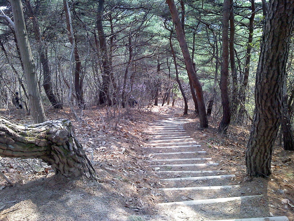 바이크하우스 이미지