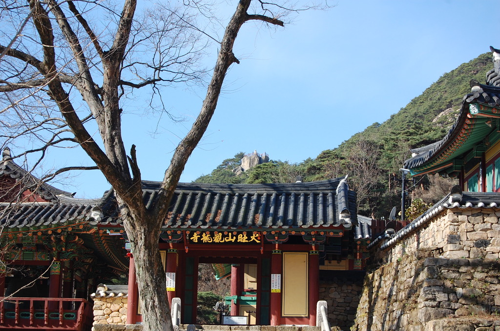 유어초등학교 이미지