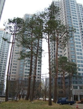GS25 반포타운 이미지