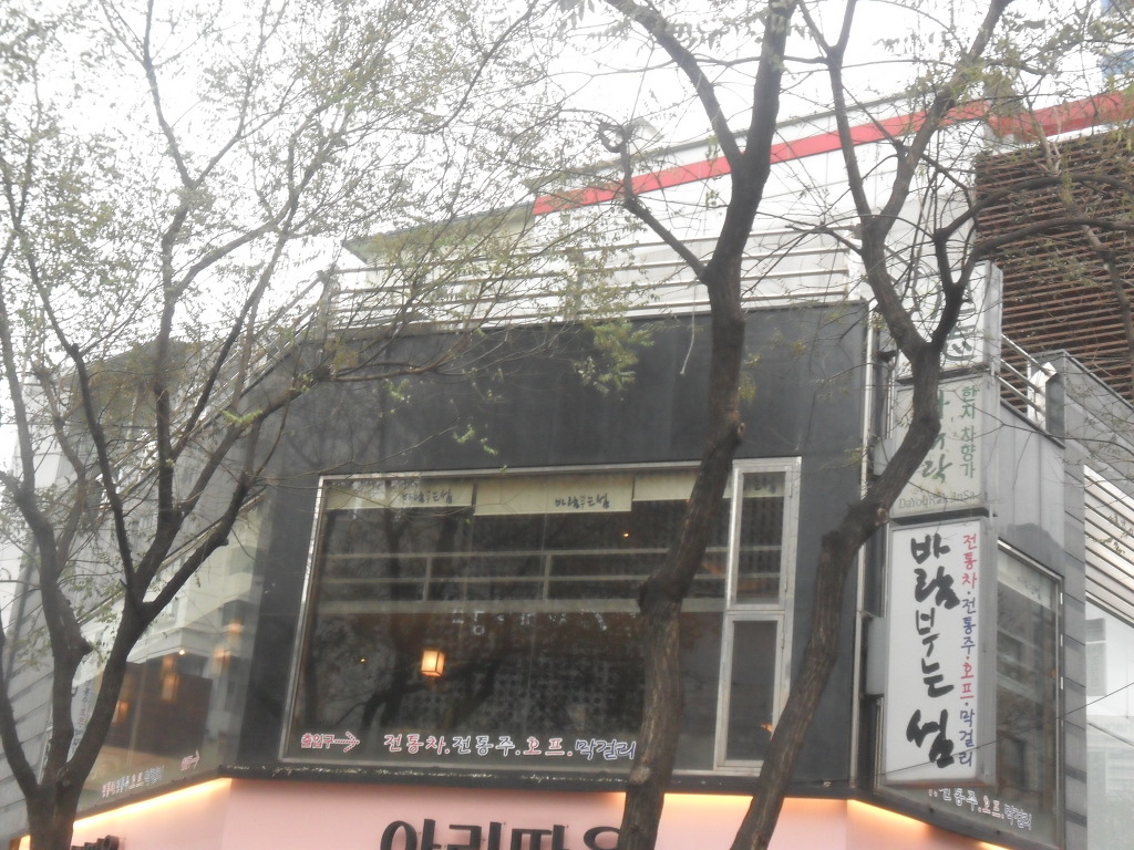 바람부는섬 이미지